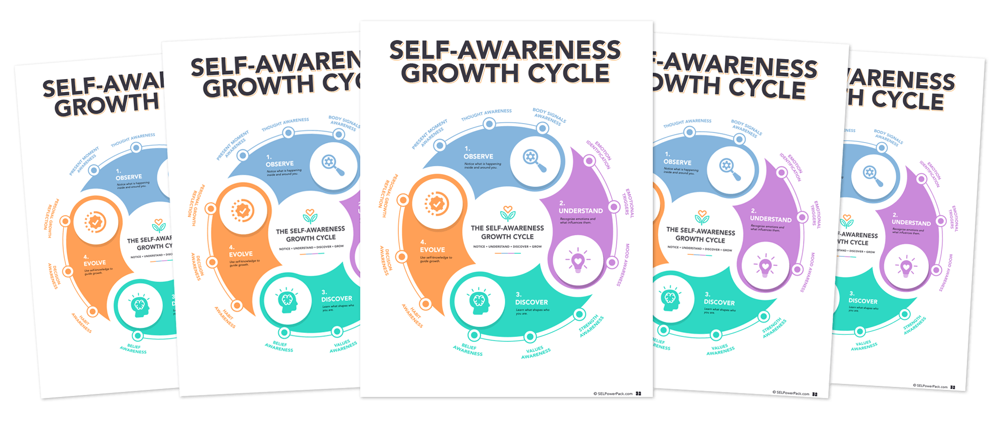 self awareness cycle